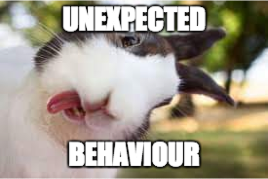 Unexpected rabbit behaviour